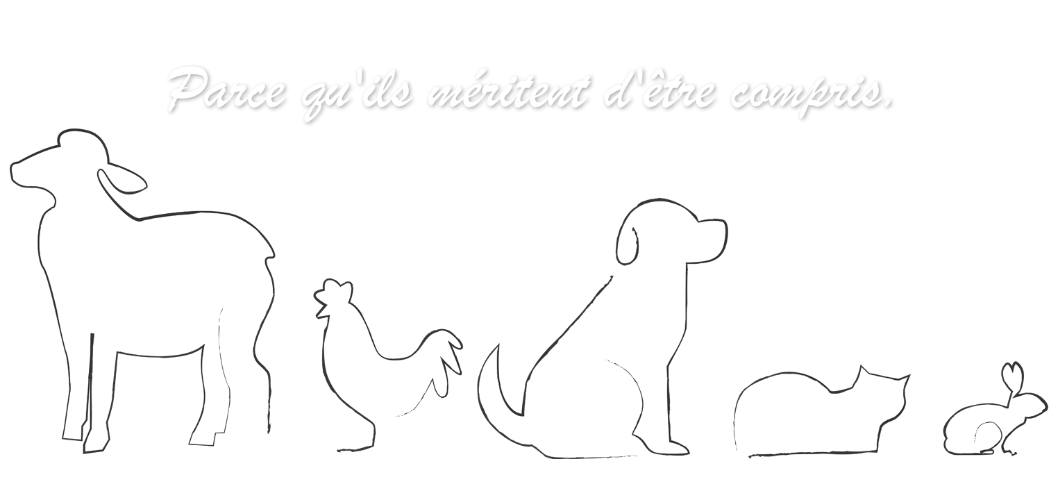 Éducation canine et comportement animal - Lanaudière - Sanctuaire éducatif Langage Animal