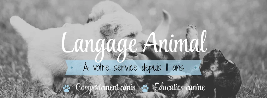 Langage Animal (2) Éducation canine et comportement animal - Lanaudière - Sanctuaire éducatif Langage Animal